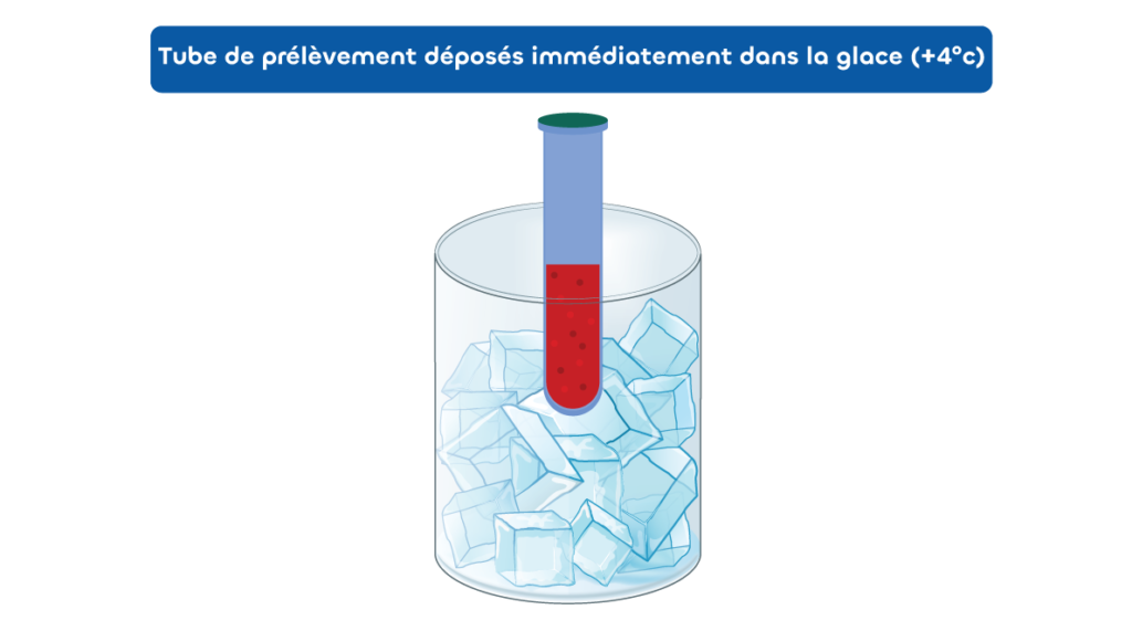 Comment mesurer le stress oxydant Bio Equinox Santé